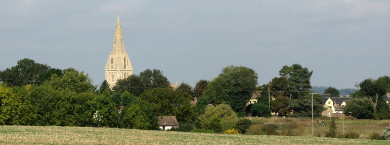 Picture of Buckworth